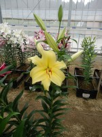 [5563 PO66 Eldoret No01.JPG]